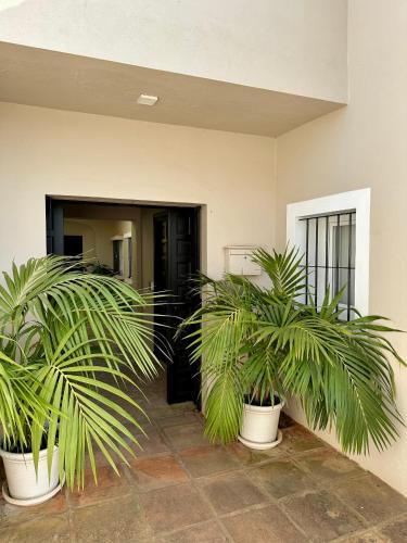 Patio Room Sotogrande — other in Avda Los Cortijos,Patios de Valderrama Num 2, Sotogrande Spain, 11310