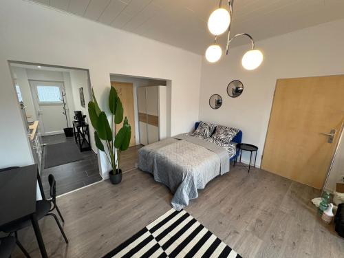 Kleines Zebra in Gladbeck