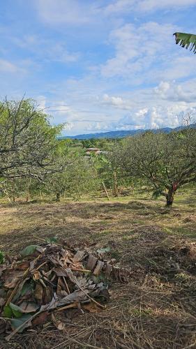 Hacienda tukuringa