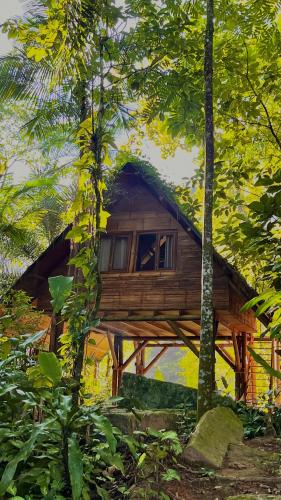 Sitio Simple Life in Ubatuba