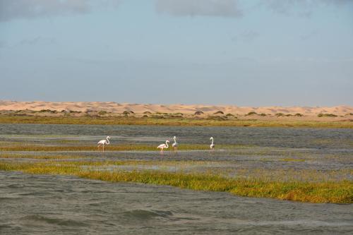 Apkārtne, HOTEL SAHARA BEACH AKHFENNiR in Akhfennirr