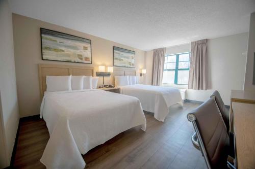 Deluxe Studio with 2 Queen beds and 1 Sofa Bed - Non-Smoking image 5