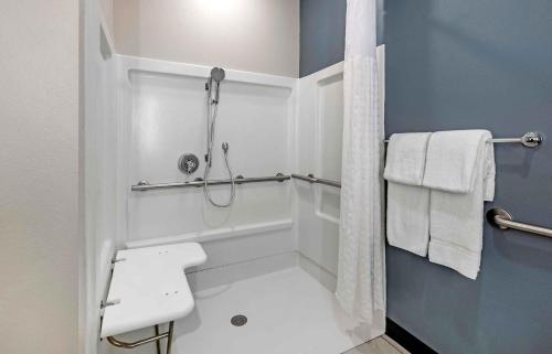Extended Stay America Premier Suites - Austin - Kyle - 화장실