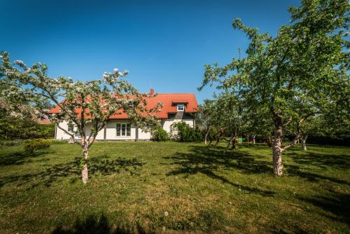 Karklės Villa - Prie Jūros - image 12