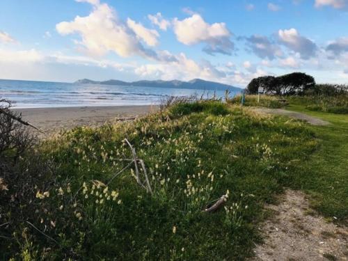 Sunny cosy getaway near beach in เปคาคาริกิ