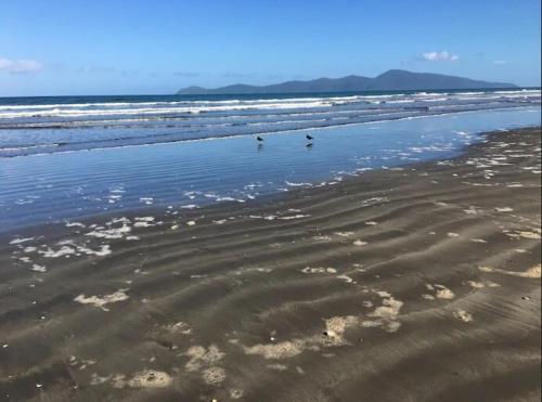 Sunny cosy getaway near beach in เปคาคาริกิ