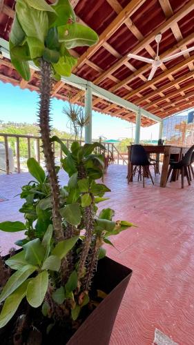 ZipolHostal, Zipolite (foto 6)
