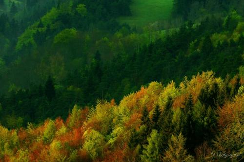 Les chalets de Pré Clos en Vercors