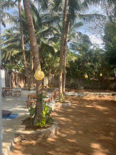 Einrichtungen, Early birds in Arugam Bay