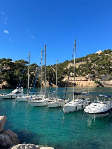 La Terrasse Méditerranéenne - Location saisonnière - Marseille