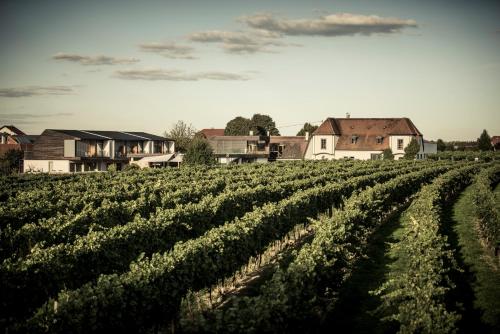 MALAT Weingut und Hotel