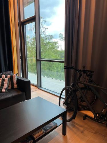 Design apartment with view to Nemunas, Prienai in Kunioniai