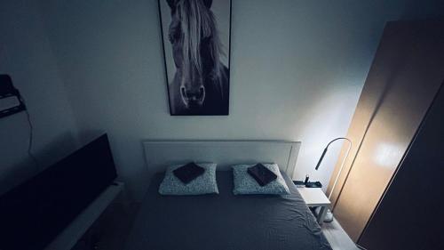 Sibejdo 1&2, Varaždin (foto 7)