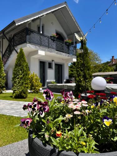 Casa din Vale apartament - Valiug in Valiug