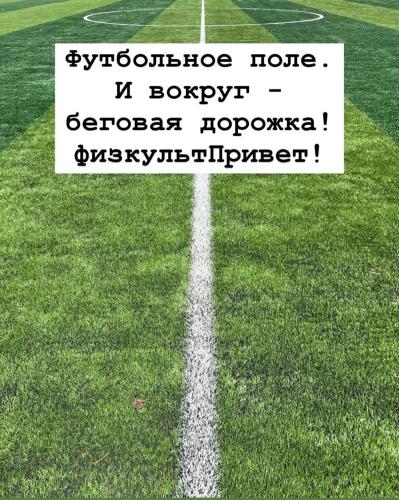 Чайка Иссык-Куль, Chon-Sary-Oy (foto 8)
