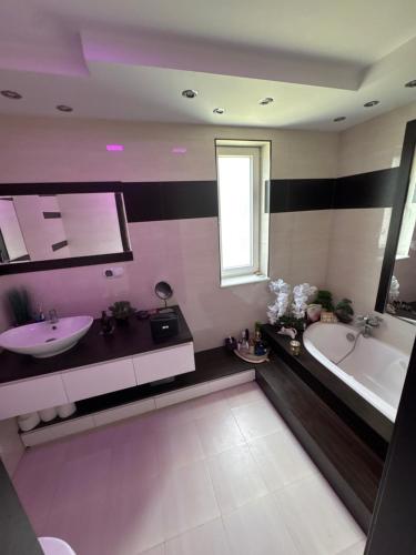 Ogród zimowy i salon