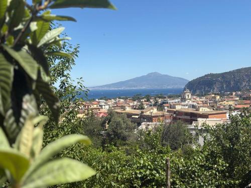 Room, family, sea view