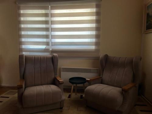 Guest House Vila Aleksa - image 4