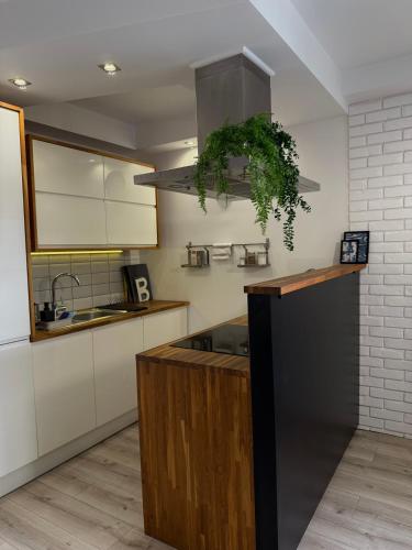 Apartament pod 13
