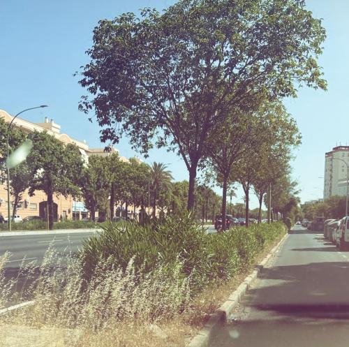 Apartamento en sevilla con encanto y muy bien ubicado, Sewilla