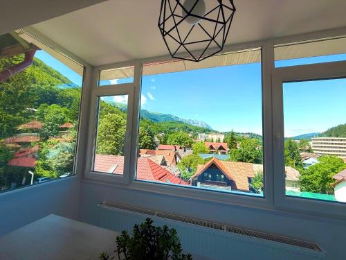 Mountain View, Sinaia (photo 3)