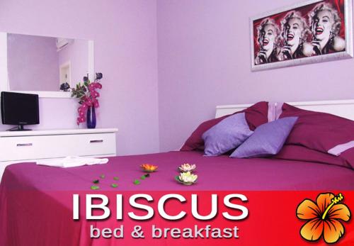 B&B Castri di Lecce - Ibiscus B&B - Bed and Breakfast Castri di Lecce