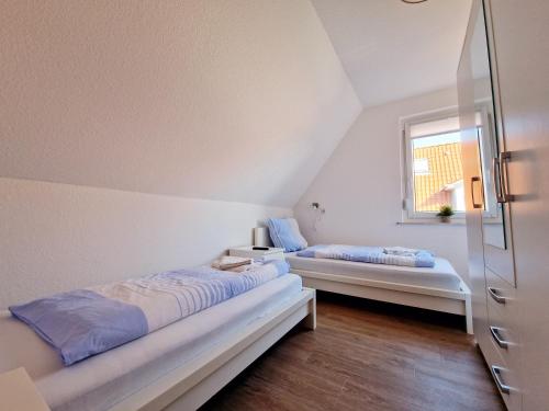 Haus Seeigel Strandflieder - image 12