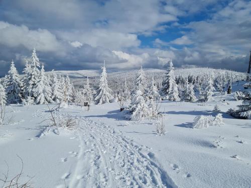 外部景觀, Haus Moni in 海德米勒