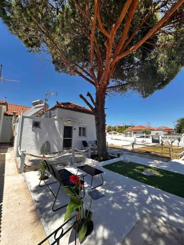 Limnos Twin Pine gîte à louer Néa Koútali