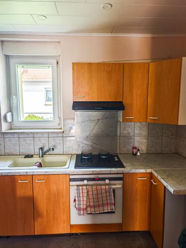 virtuve, Appartement agréable et atypique, wifi, terrasse, jardin (Appartement agreable et atypique, wifi, terrasse, jardin) in Schleithal