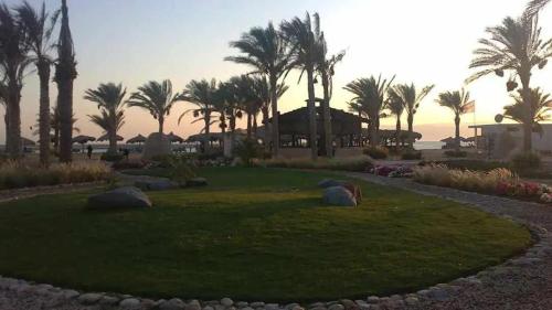 Apartment & Roof with Red Sea View, Ras Sedr (fotografie 7)