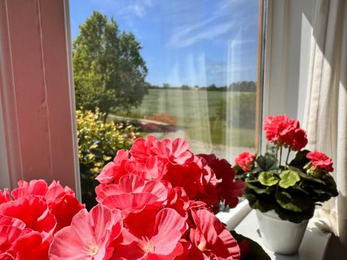 Fynshav, Augustenborg (fotografie 3)