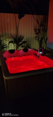 Bungalow Tucán & Jacuzzi, Fortuna (foto 4)