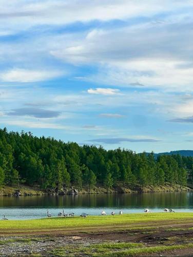 Dalain Khur in Hatgal