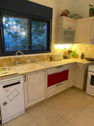 The old Oak tree by the Banias river in Shear Yashuv