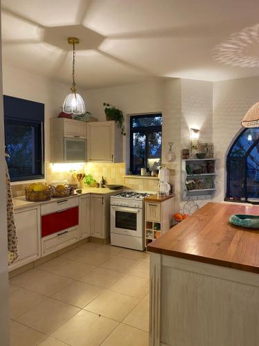 The old Oak tree by the Banias river in Shear Yashuv