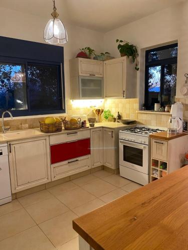 The old Oak tree by the Banias river in Shear Yashuv