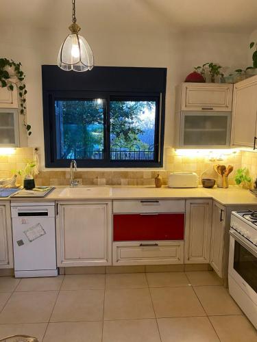 The old Oak tree by the Banias river in Shear Yashuv