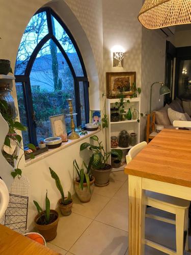 The old Oak tree by the Banias river in Shear Yashuv