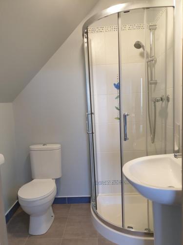 Viking Lodge coastal B&B in Arthurstown