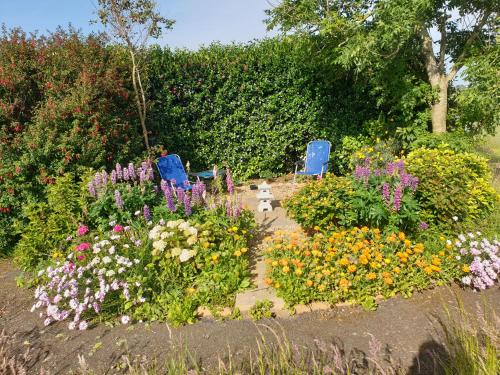 Viking Lodge coastal B&B in Arthurstown