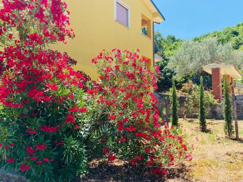 Radice Libera - Casa di campagna in Castel San Lorenzo