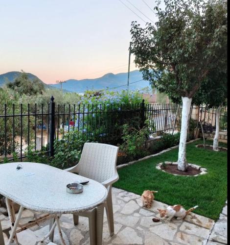 Alpha Studios in Lefkada