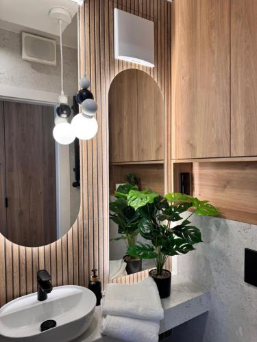 Family & Business Apartments PREMIUM SPA No 3 - 2 Bedroom with Private Jacuzzi, Balcony, Parking, Warsaw (photo 9)