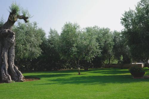 L'Ulivo Bed and Breakfast – Savelletri di Fasano, AR