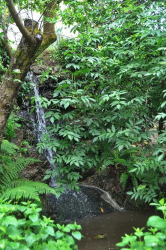 ทัศนียภาพ, Casas Vale Martinho in วิมิเอย์โร