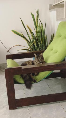 Habitación, 2, privada, aire, Ceiba (Habitacion, 2, privada, aire, Ceiba) near Camilo Daza nemzetközi repülőtér