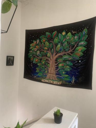 Létesítmények, Habitación, 2, privada, aire, Ceiba (Habitacion, 2, privada, aire, Ceiba) near Camilo Daza nemzetközi repülőtér