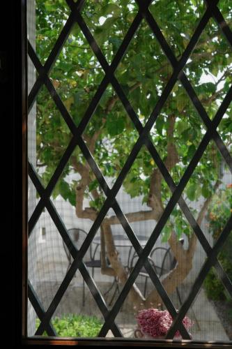 L'Ulivo Bed and Breakfast – Savelletri di Fasano, AR