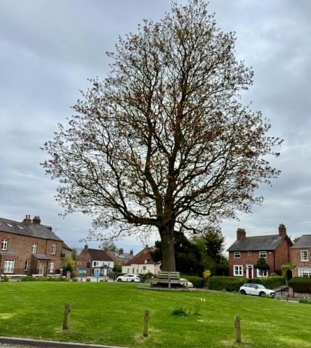Ash Cottage, Tollerton (фото 6)
